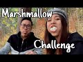 Interlaken Marshmallow Challenge