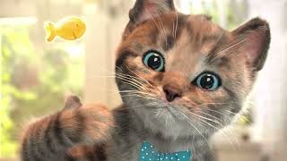 Little Kitten Preschool Adventure Educational Games - Play Fun Cute Kitten Pet Care Gameplay #642