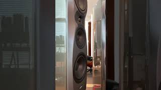 Dynaudio Confidence 30