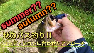 【Bカスタムチャター】初秋のバス釣り ため池の気まぐれなバスの探し方‼︎【バスターク】