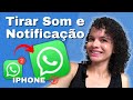 ✅ Como TIRAR o SOM de NOTIFICAÇÃO do WHATSAPP NO IPHONE 2024 | Enilda Queiroz