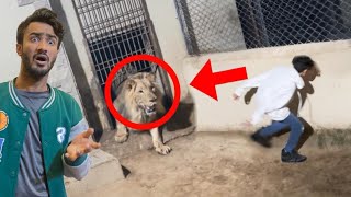 Lion Attack Prank on Vampire Gone Wrong !