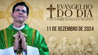 DAILY GOSPEL | December 11, 2024 | Matthew 11, 28-30 | @PadreManzottiOficial