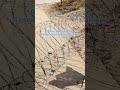 Razor Barbed Wire Temporary Isolation Barriers