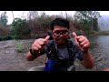 ตกปลาพลวงใหญ่ ด้วยคันไม้จิ้มฟัน blue mahseer vs stream fishing rod ​ bluemahseer