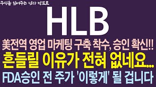 [HLB(에이치엘비) 주가전망] 240선, 구름대 상단 돌파!! 美 전역 영업 마케팅 미리 꾸리는 중.. 흔들릴 이유가 없습니다. 개인투자자들의 마인드셋이 가장 중요한 현 시점