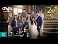 Pagal Khana Episode 42 | Saba Qamar | Sami Khan | Momal Sheikh | Mashal Khan | Syed Jibran Green TV