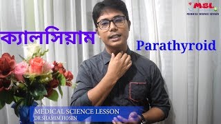 ক্যালসিয়াম | Calcium function | parathyroid gland | Endocrine System in Bangla |DR SHAMIM HOSEN