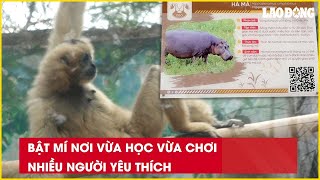 Bật mí nơi vừa học vừa chơi nhiều người yêu thích| Báo Lao Động