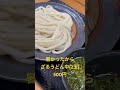 【うどん】こがね製麺所でざるうどんで体を冷やす！ 讃岐うどん さぬきうどん セルフうどん ざるうどん ちくわ天 飯テロ