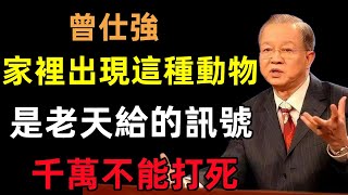 家裡出現這幾種動物，是老天爺給的訊號，千萬不能打死，請出去就好！#曾仕強#民間俗語#中國文化#國學#國學智慧#佛學知識#人生感悟#人生哲理#佛教故事