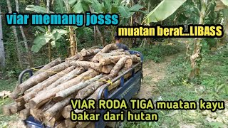 Viar roda tiga memang Joss