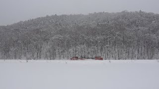 4K画質【着雪した森林バックのDE15宗谷ラッセル】宗谷本線(天塩中川～佐久)2018.2.11