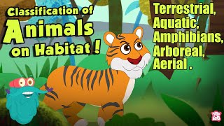 HABITAT OF ANIMALS | Classification Of Animals On Habitat | The Dr Binocs Show | Peekaboo Kidz