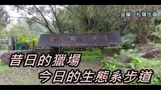 昔日泰雅族的獵徑，沿著河岸的生態之旅｜松羅步道【宜蘭】【我走給你看】