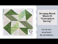 Scrappy Block Week 25   Colorado in Spring