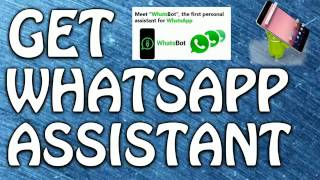 How to get WhatsApp assistant on any android phone