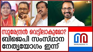 പാലക്കാട്ടെ തോൽവിക്ക് പിന്നാലെ ബിജെപി സംസ്ഥാന നേതൃയോഗം ഇന്ന് | BJP state commitee