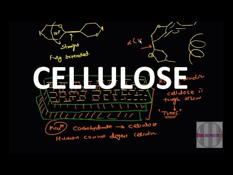 cellulose (Polysaccharide) cellulose (Polysaccharide)