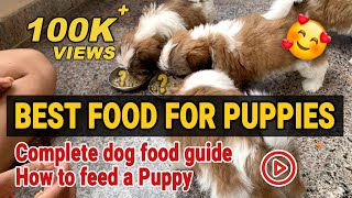 Best food for shih tzu puppies | shih tzu puppy food guide and how to feed a puppy #shihtzu #dogfood
