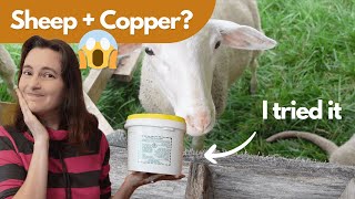 I Tried Copper Sulfate for 12 Months Here's What Happened to My Flock