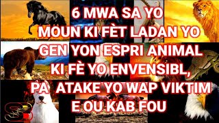 6 MWA SA YO MOUN KI FÈT LADAN YO GEN YON ESPRI ANIMAL KI FÈ YO ENVENSIBL, PA  ATAKE YO WAP VIKTIM