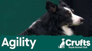 International Invitation – Large (Agility) | Crufts 2026