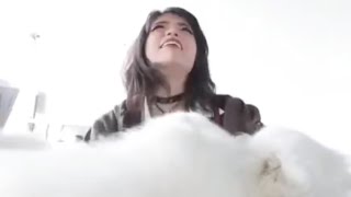 Alinity's Dog Attacks Emiru's B00BAS
