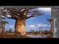 baobab treehouse demo
