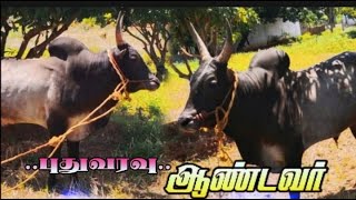 புதுக்கோட்டை சப்பாணிபட்டி கோபி பிரதர்ஸ்  புதுவரவு  ஆண்டவர்