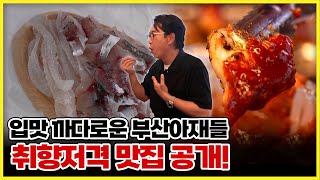 부산 아재가 직접 검증한 맛집! 영양 보충할 수 있는 취향저격 맛집 대공개 [ 생방송부라보 ] 20241115