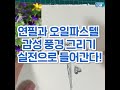 에너지버스 오일파스텔과 연필로 표현하는 감성 풍경 드로잉 클래스