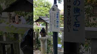 【毛谷黒龍神社】参拝してきました。#福井#黒龍神社#パワースポット#shorts