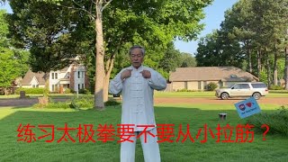 回复朋友留言：练习太极拳要不要从小拉筋？中国传统武术太极、形意、八卦三大内家拳之首的太极的魅力