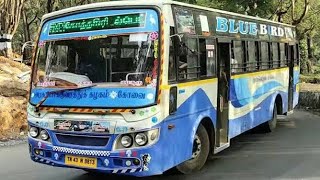 இனி Govt பஸ்ஸில் ticket எடுக்க தேவையில்லையா#TNSTC#shorts#tamilfriends