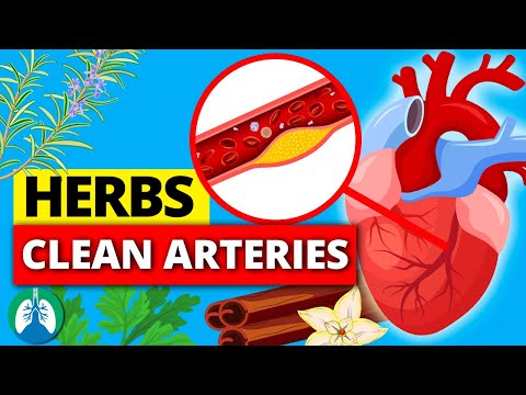 What herbs is good for the heart?