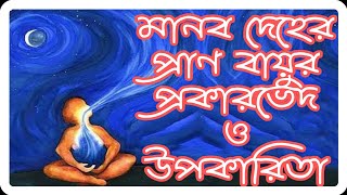 মানব দেহের প্রান বায়ু কত প্রকার ও তাদের উপকারিতা।