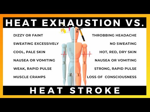 What is the difference between heat exhaustion and heat stroke?