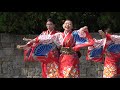 和道／ザ・よさこい！大江戸ソーラン祭り2019