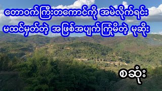 တောဝက်ကြီးတကောင်ကို အမဲလိုက်တဲ့ မုဆိုး၏ အတွေ့အကြုံ - စဆုံး