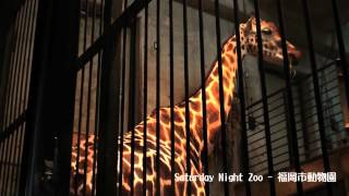 【HD】Saturday Night Zoo - 夜の動物園@福岡市動物園/2012-08-11-001