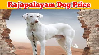 Rajapalayam Dog Price in India 2025 || Rajapalayam Dog Price And Monthly Expenses