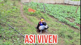 ESTA ES LA TRISTE VIDA DE ALGUNOS NIÑOS EN LA ZONA ALTA