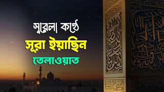 📖 সূরা ইয়াছিন তেলাওয়াত | হৃদয় ছুঁয়ে যাওয়ার মতো কুরআন তেলাওয়াত | মনকে প্রশান্তি দেবে ইনশাআল্লাহ