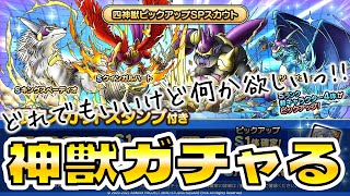 【ドラクエタクト】なにかしら神獣出したいガチャMAX５０連【DQMJイベント】