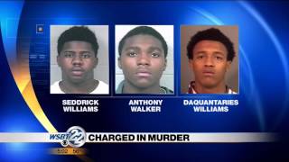 Guilty plea in Berrien County murder