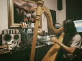 Felipe Ayres - Harp + Modular