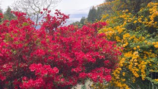 2022/04/23　虹始見・葭始生　癒しのひじかわじかん　〜愛媛県大洲市〜