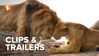 The Lion King ALL Clips + Trailers (2019) | Fandango Family