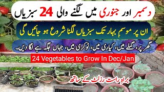 December \u0026 January 24 Vegetables To Grow At Home Garden | Grow Vegetables At Home In December \u0026 Jan